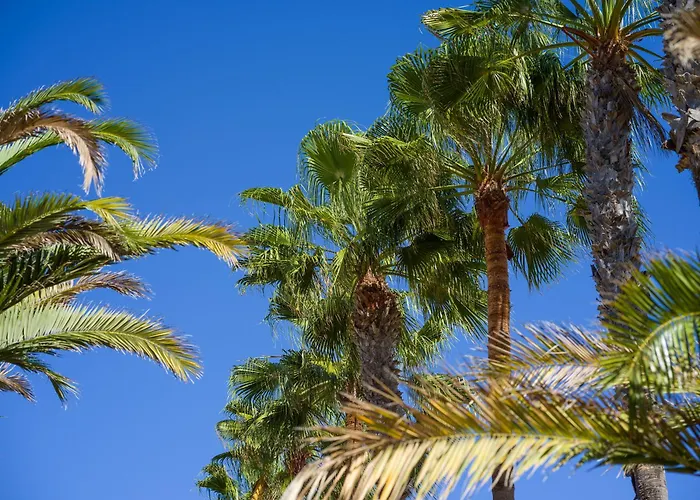 Casa Tindaya - 3 Min Walk To The Beach